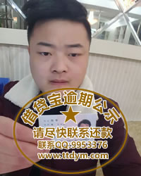 借贷宝逾期—陈军