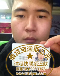 借贷宝逾期—闫向向